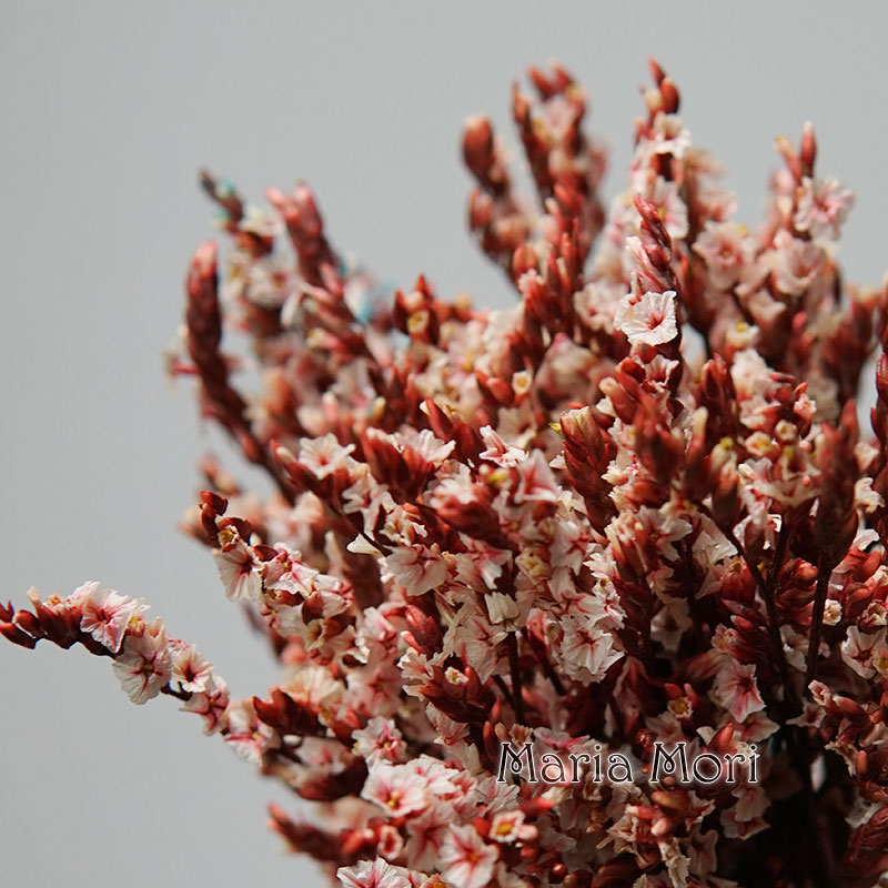 Baby Breath Dried - 5g/ Colorful Dired Preserved Crystal Grass