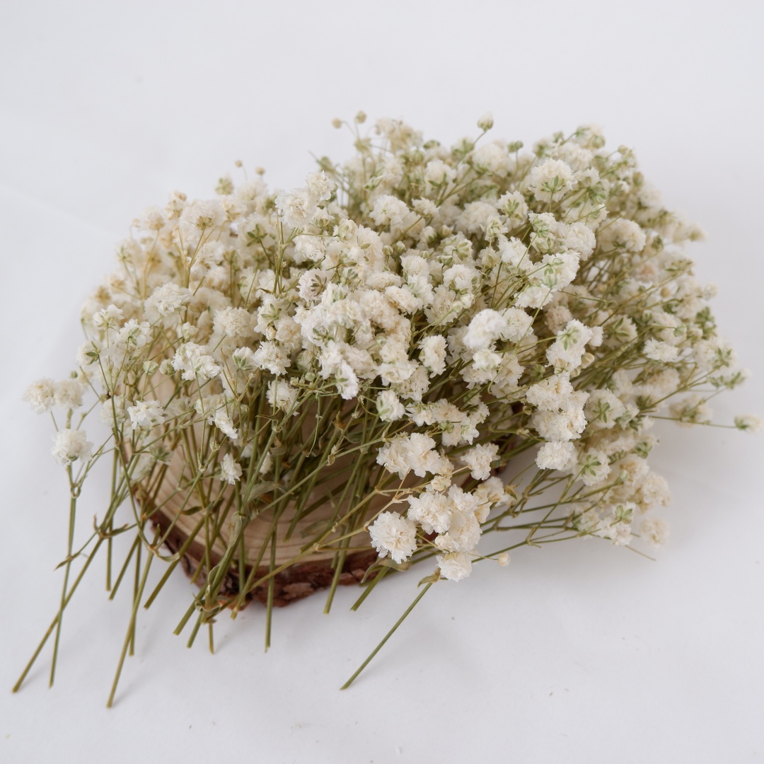 Dried Flowers White Mini Dried - Baby Breath Dried recension och pris