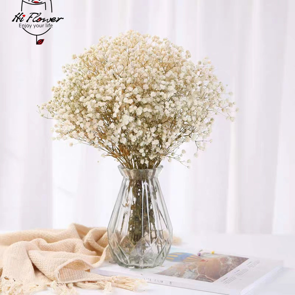 Natural Dried Flowers Preserve - Baby Breath Dried recension och pris