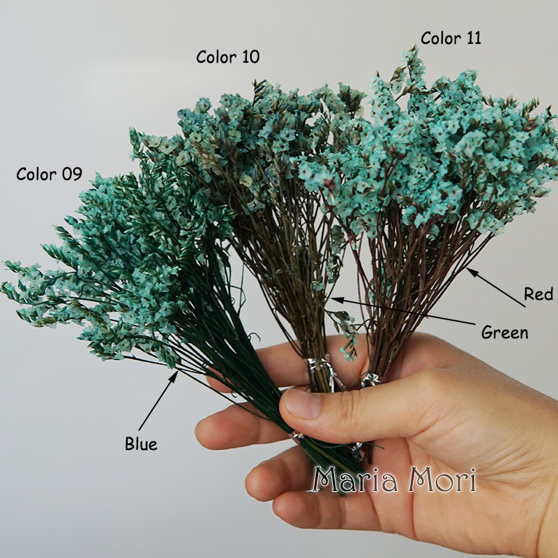 5g/ Colorful Dired Preserved C - Baby Breath Dried recension och pris