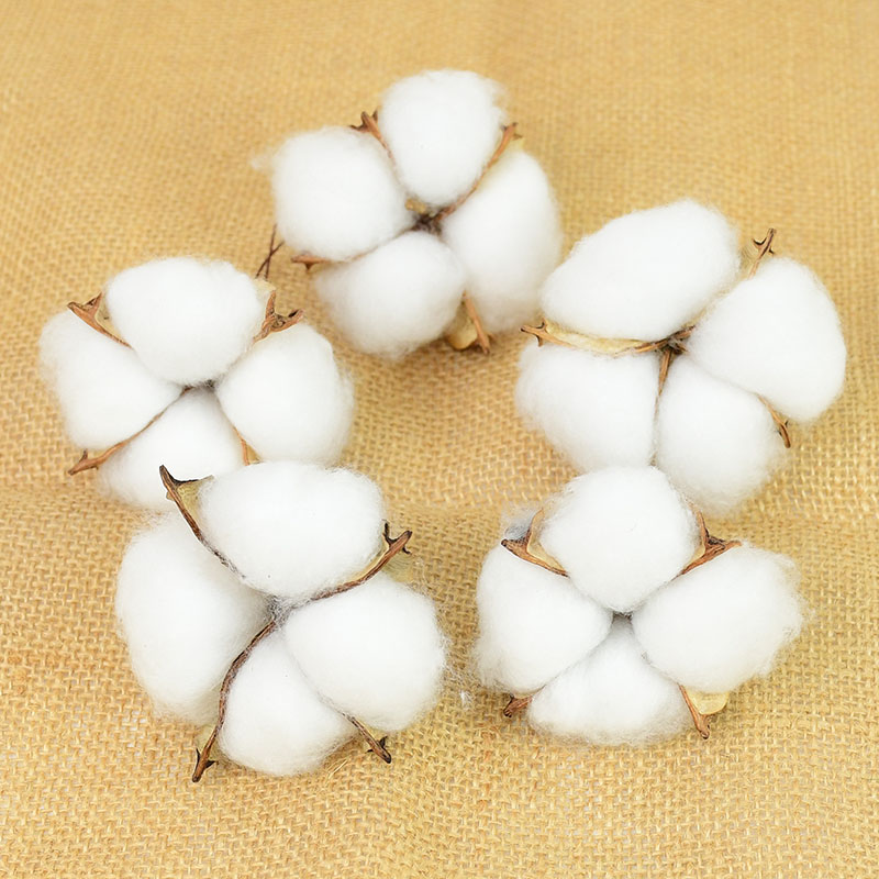 10Pcs White Cotton Florist Sup - Florist Wreath Supply recension och pris