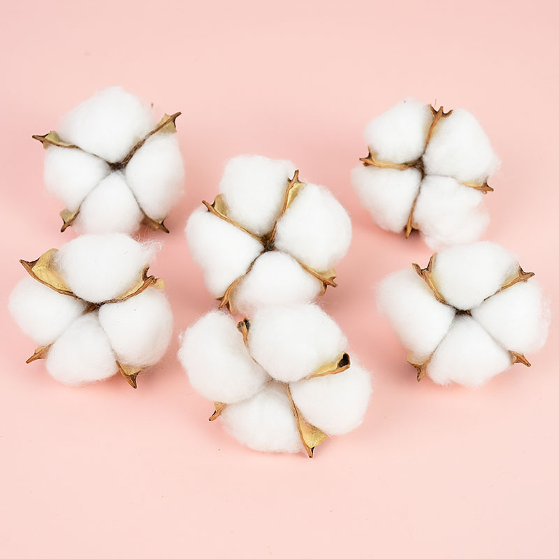 10Pcs White Cotton Florist Sup - Florist Wreath Supply recension och pris