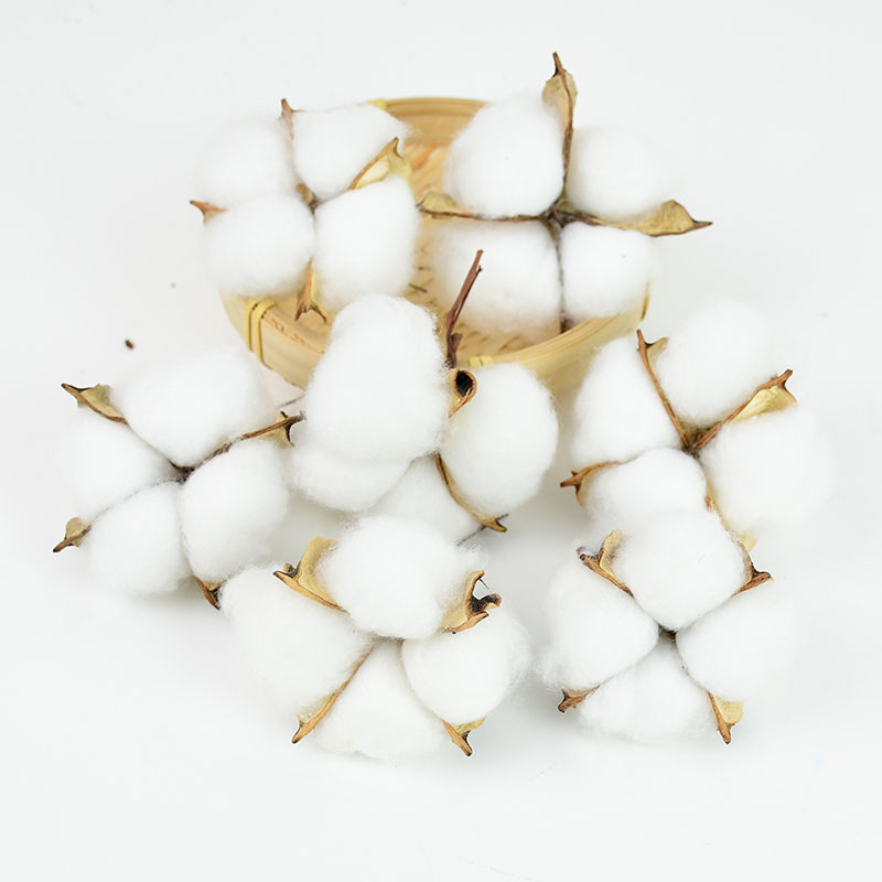 10Pcs White Cotton Florist Sup - Florist Wreath Supply recension och pris