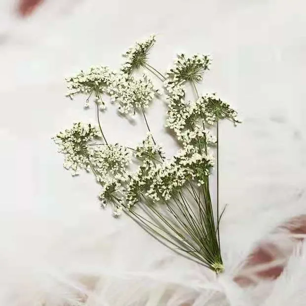 5-7cm/12pcs,Snow Tiny Flowers  - Baby Breath Dried recension och pris