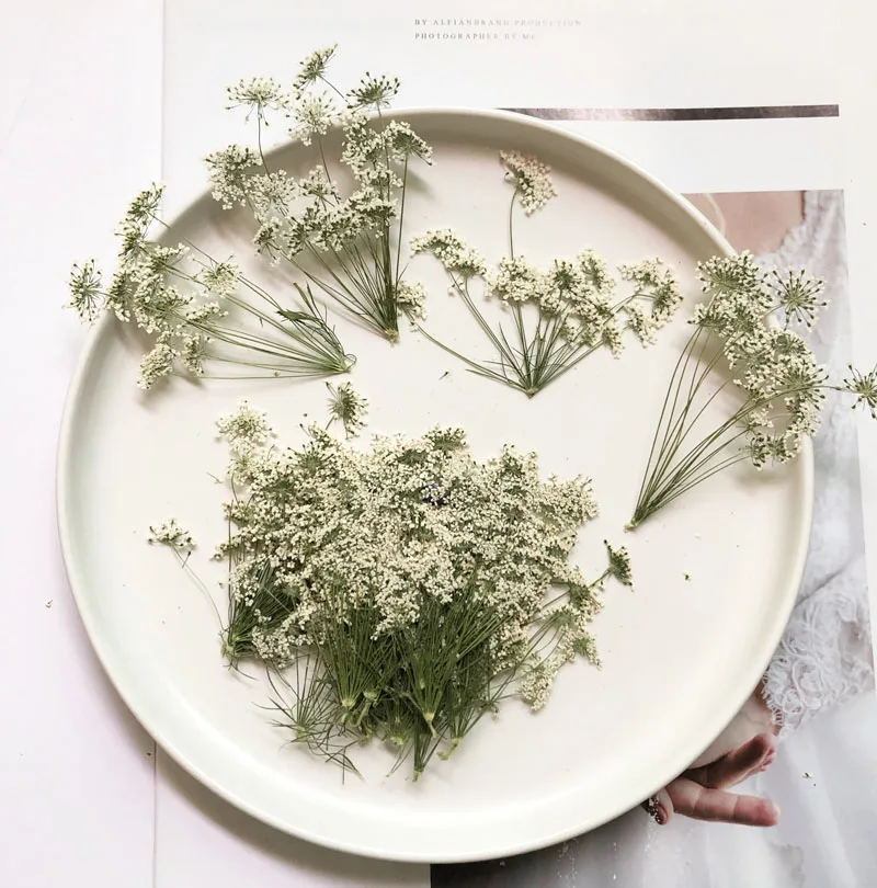 5-7cm/12pcs,Snow Tiny Flowers  - Baby Breath Dried recension och pris