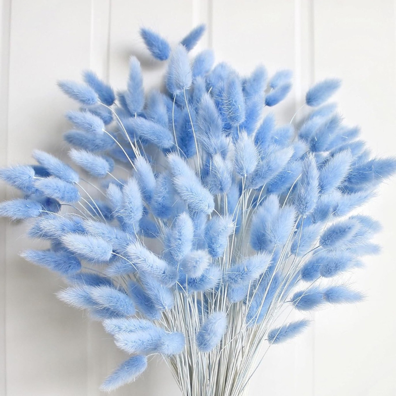 100PCS Blue Hare's-tail Grass  - Florist Supply Vases recension och pris