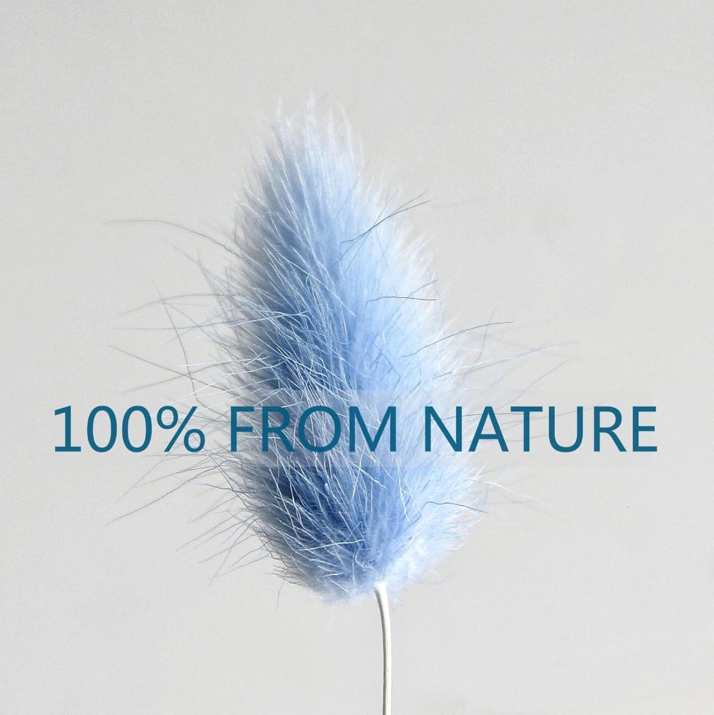 100PCS Blue Hare's-tail Grass  - Florist Supply Vases recension och pris