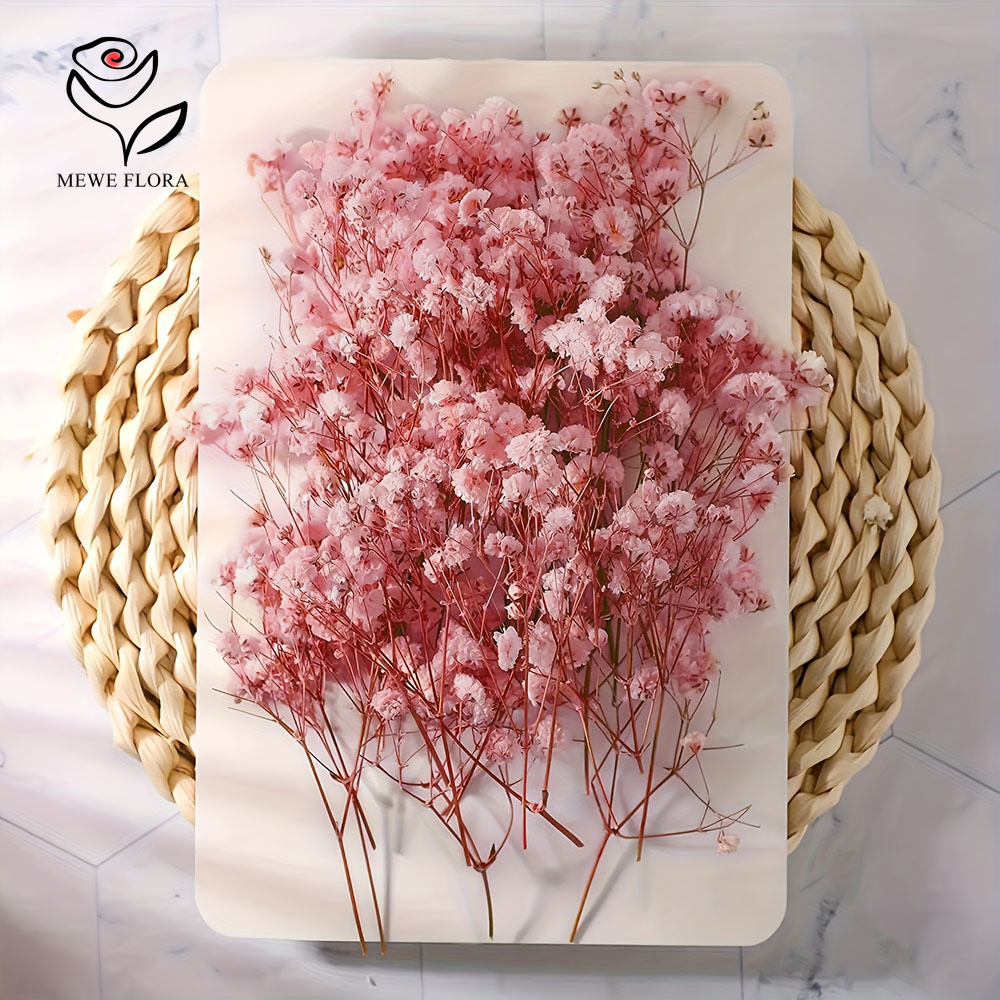 100 Small Branch Dried Baby's  - Baby Breath Dried recension och pris