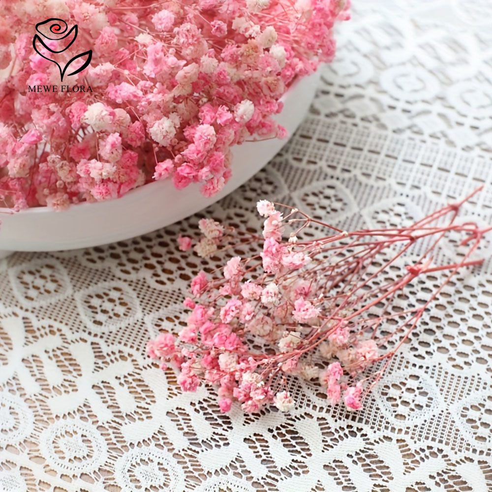 100 Small Branch Dried Baby's  - Baby Breath Dried recension och pris